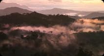 Soltara jungle sanctuary