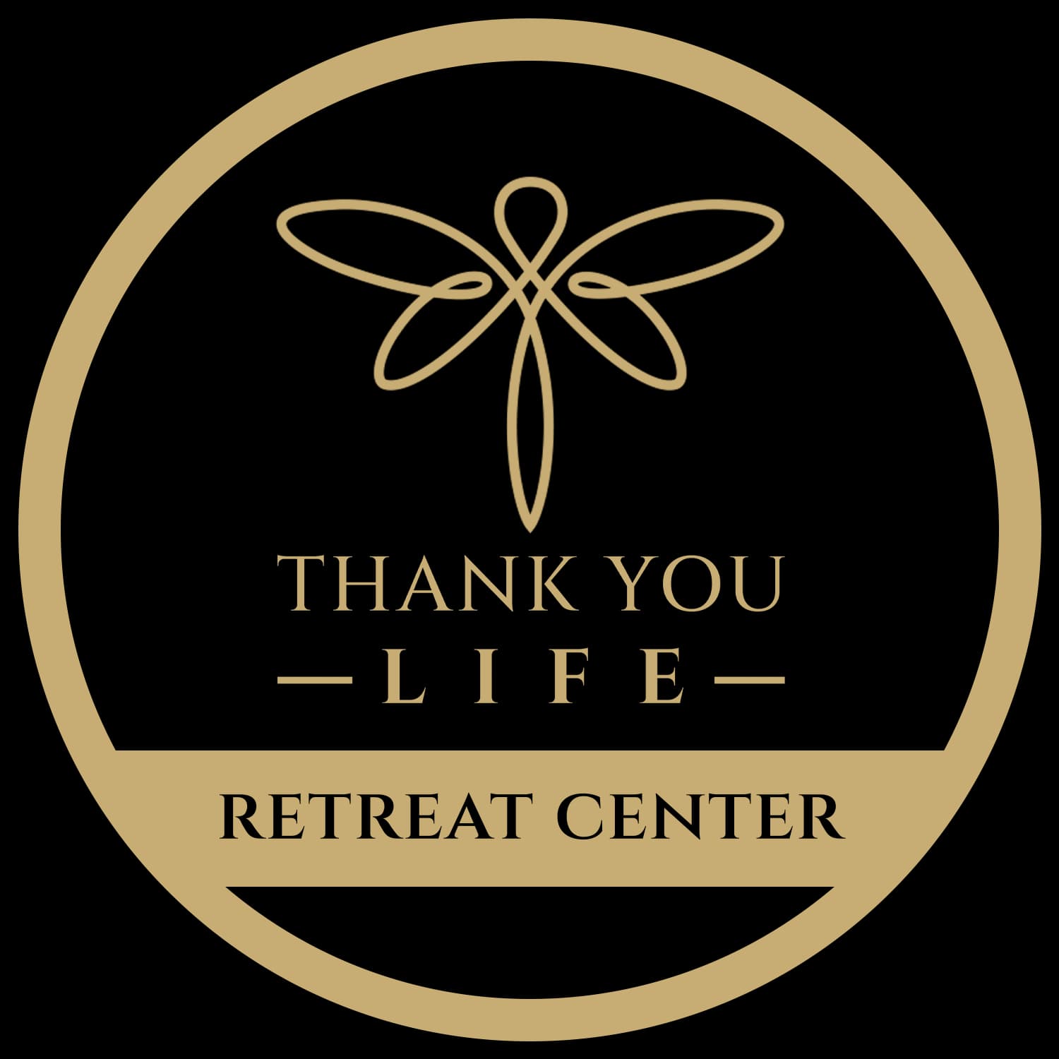 Now Partnering with Thank You Life — A Psychedelic Therapy Nonprofit