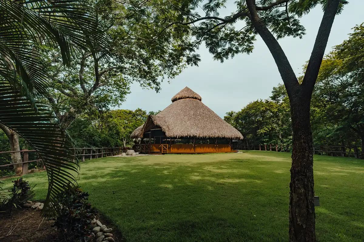 Thatched retreat building surrounded by tropical trees and lawn
