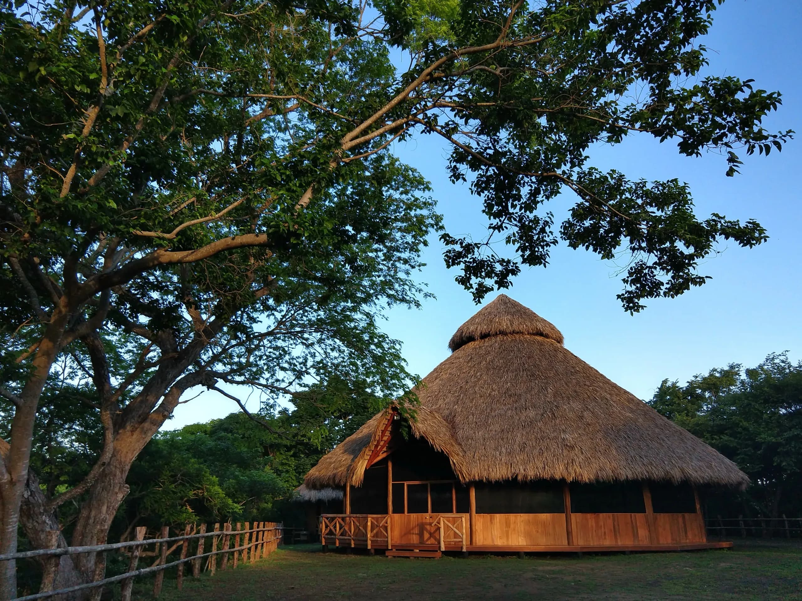 Soltara retreat lodge beneath a tree canopy